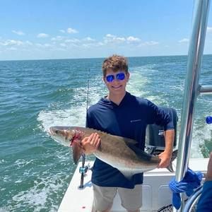 Meet your Posher, Donna